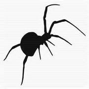 The Spider and the Fly