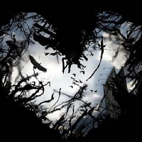 Shadow Heart